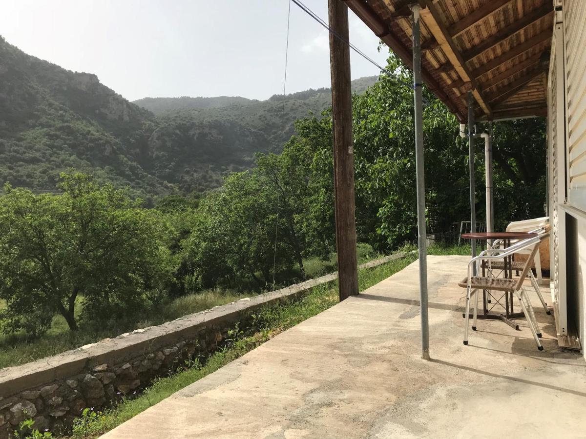 Thanasis House Dimicána Kültér fotó